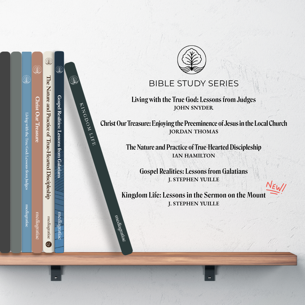 The Bible Study Series