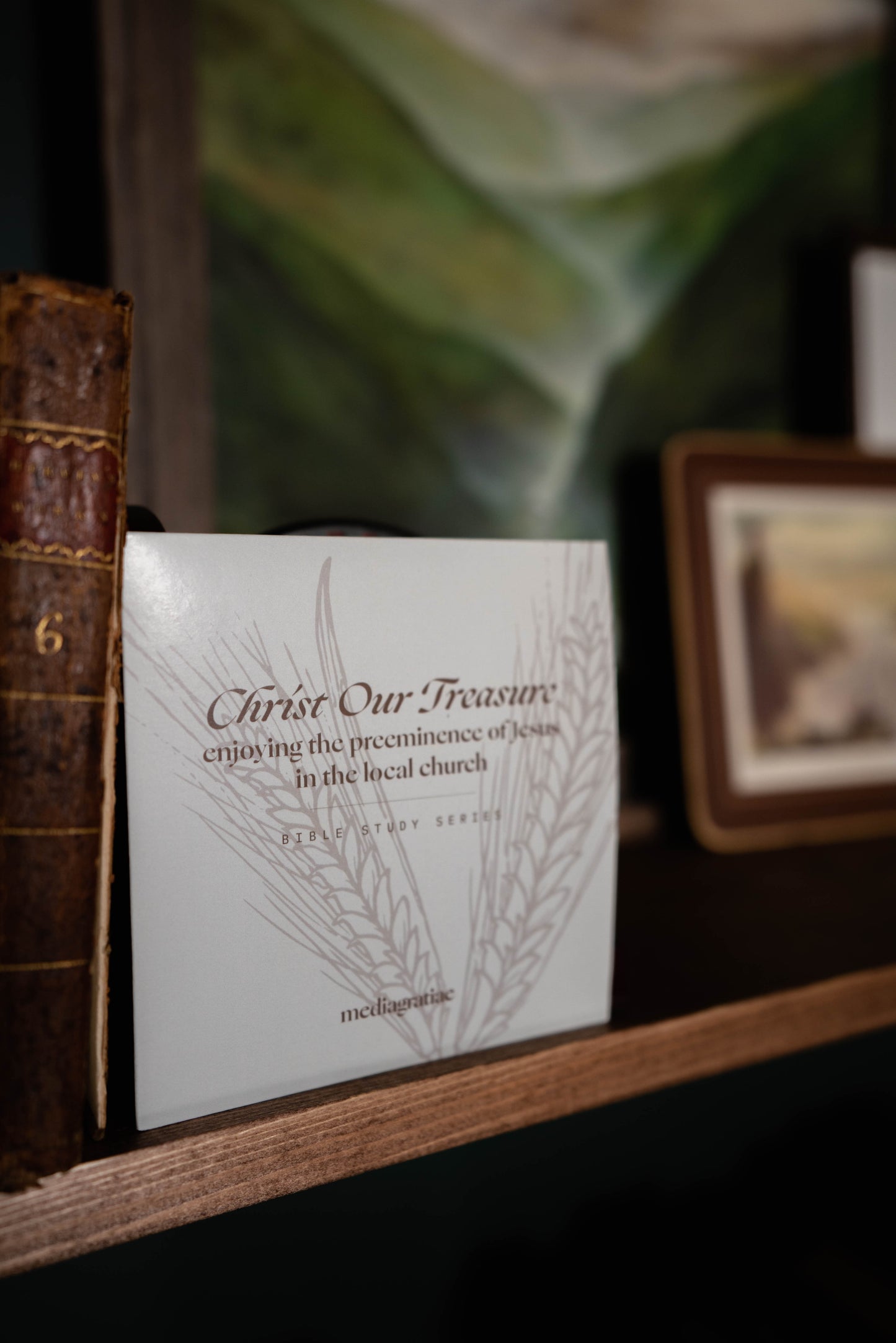 Christ Our Treasure: Enjoying the Preeminence of Jesus in the Local Church DVD + Streaming