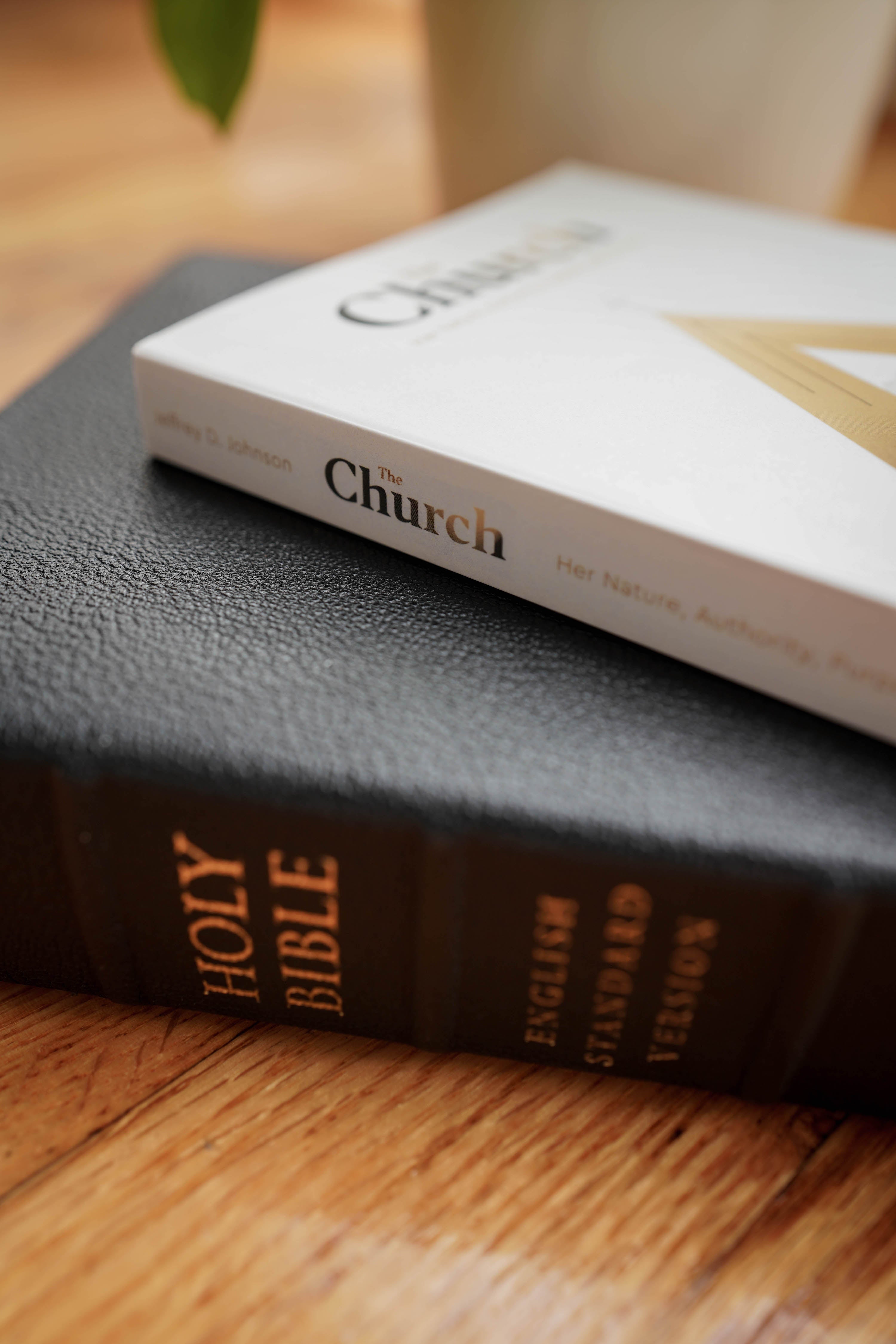 The Church: Her Nature, Authority, Purpose, and Worship - 20 Books