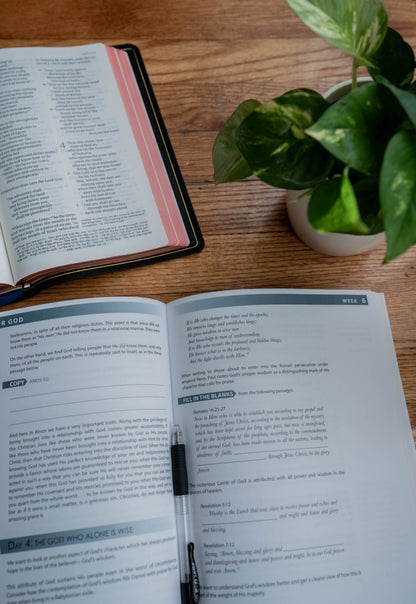 Behold Your God: The Weight of Majesty — Workbook