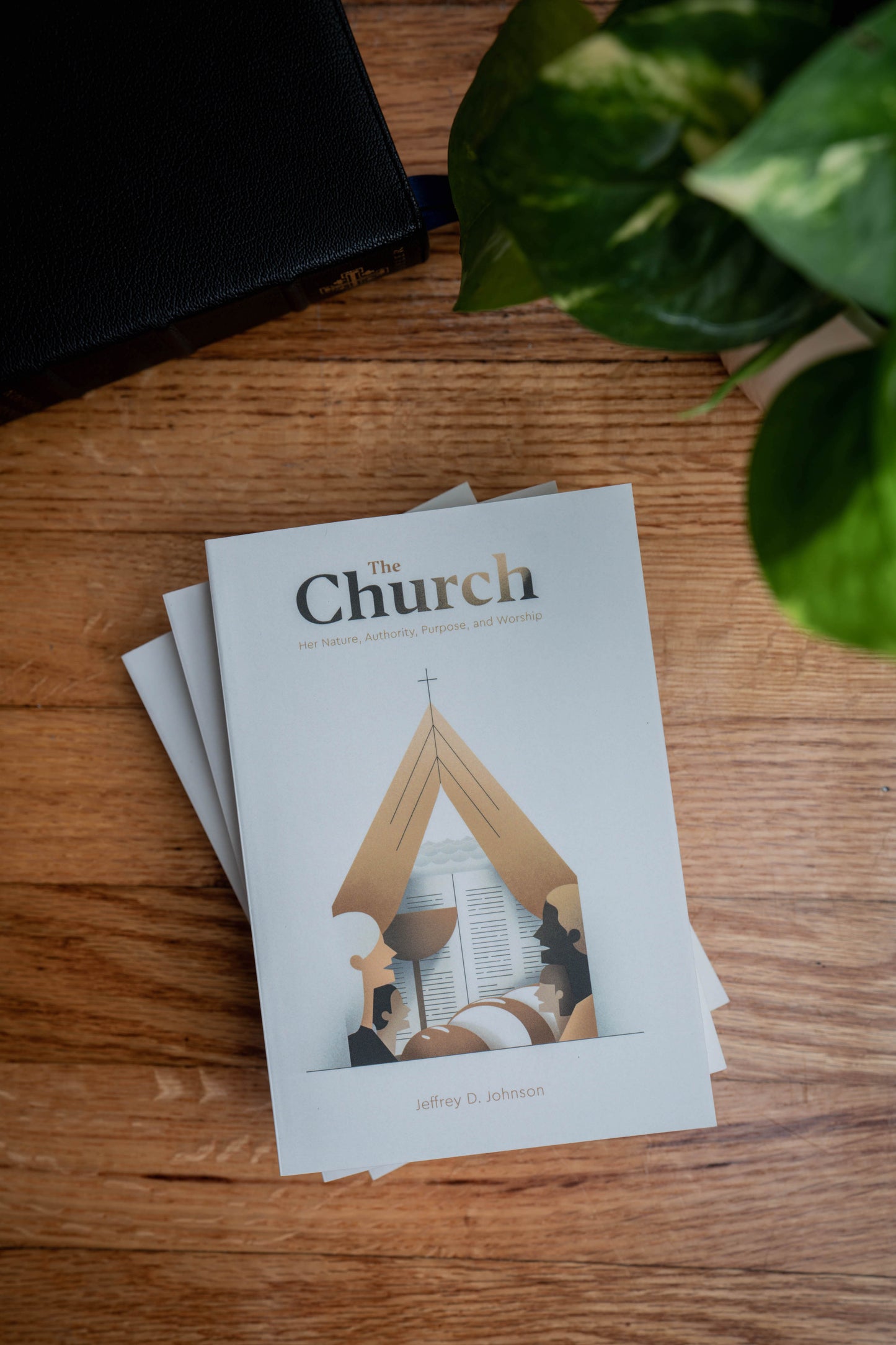 The Church: Her Nature, Authority, Purpose, and Worship Book